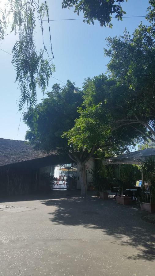 Habitacion Con Bano Privado Santa Cruz de Tenerife Dış mekan fotoğraf
